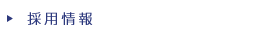 �̗p���